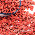 Ningxia organische getrocknete rote goji Beerenfrucht